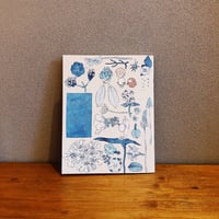 知らない草探しの会 / のもとしゅうへい
