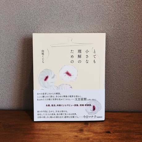 とても小さな理解のための / 向坂くじら