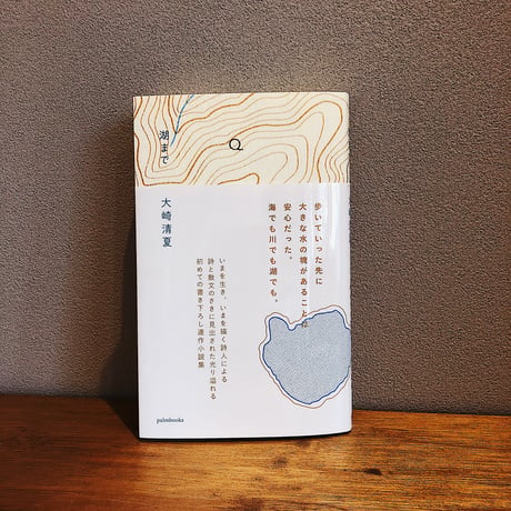 湖まで / 大崎清夏