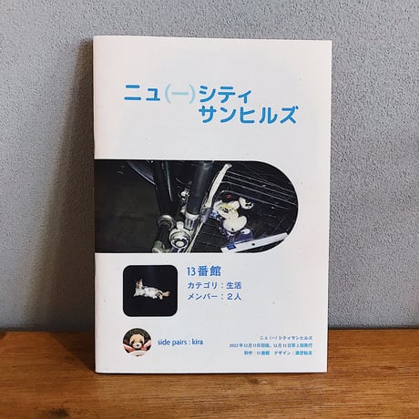 ニュ(ー)シティサンヒルズ / 13番館