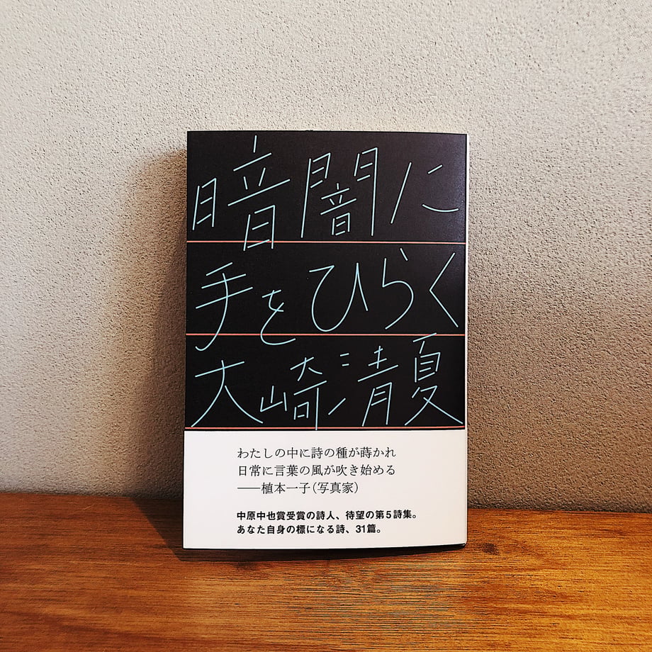 685a96839fb1029a46db2170