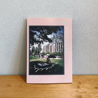 28歳、抵抗の自由研究 / 銀の森