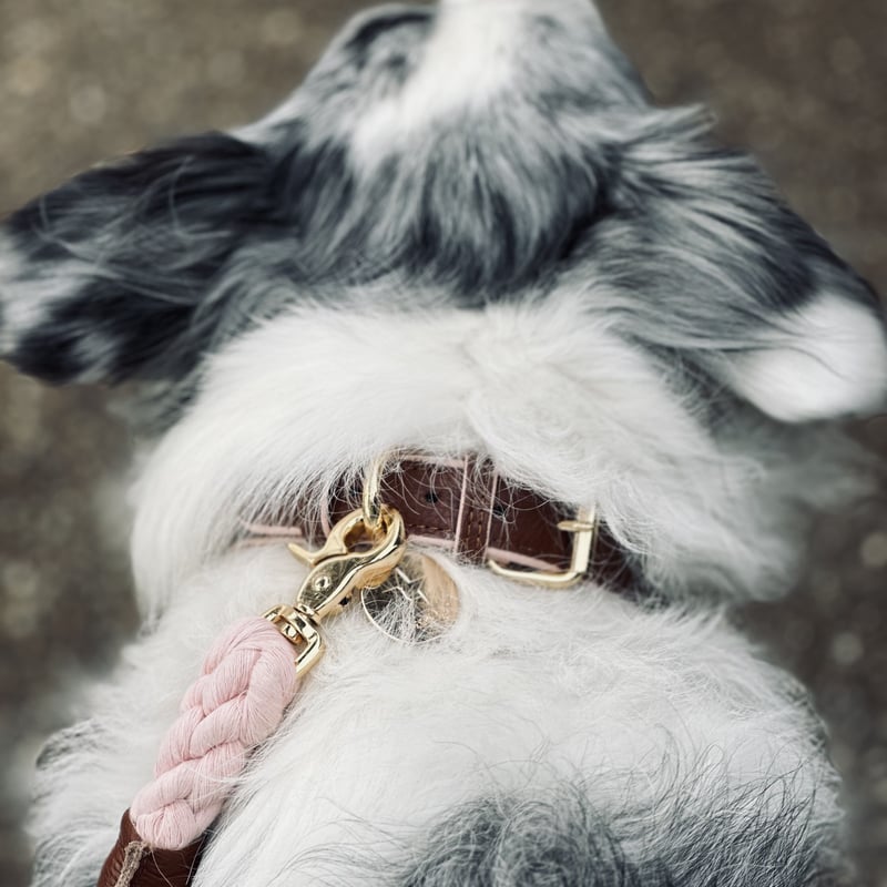 COLLAR BELLA ROSE Riley s