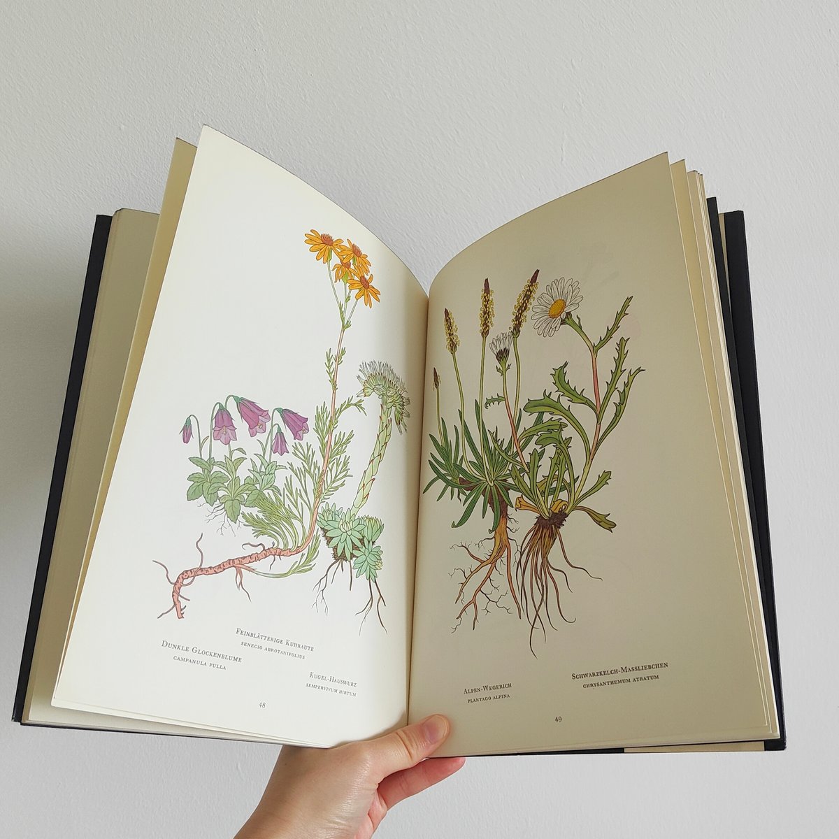 ドイツの植物図鑑 | Tabino Okurimono