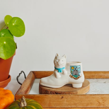 CATEGORY 動物 | Tabino Okurimono