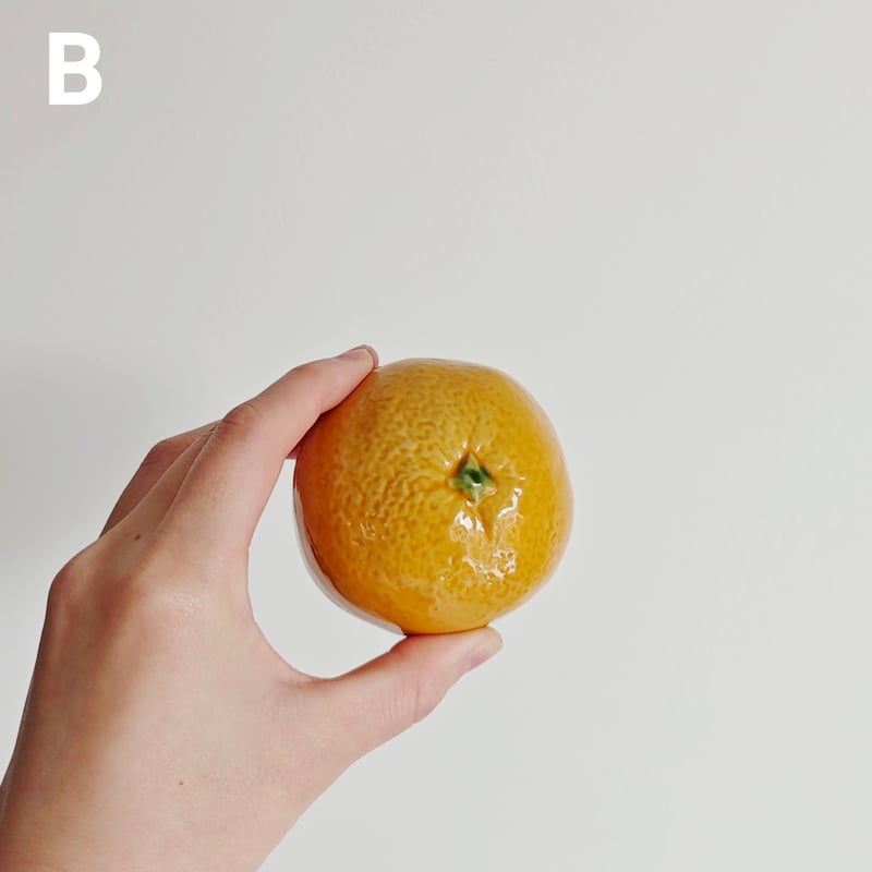 レモンとミカン | Tabino Okurimono