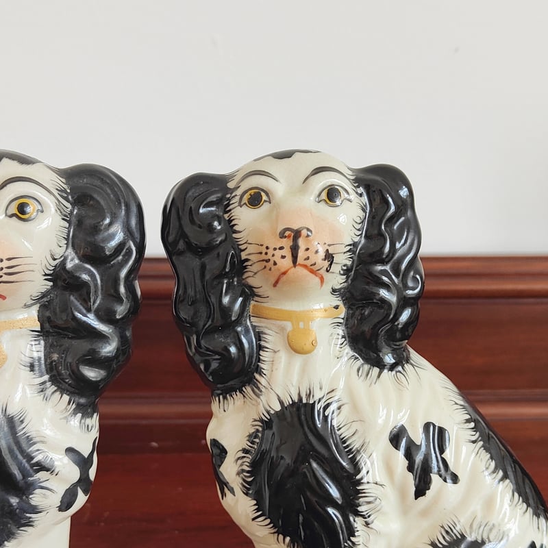 モフモフ毛並みのスタッフォードシャードッグ | Tabino Okurimono