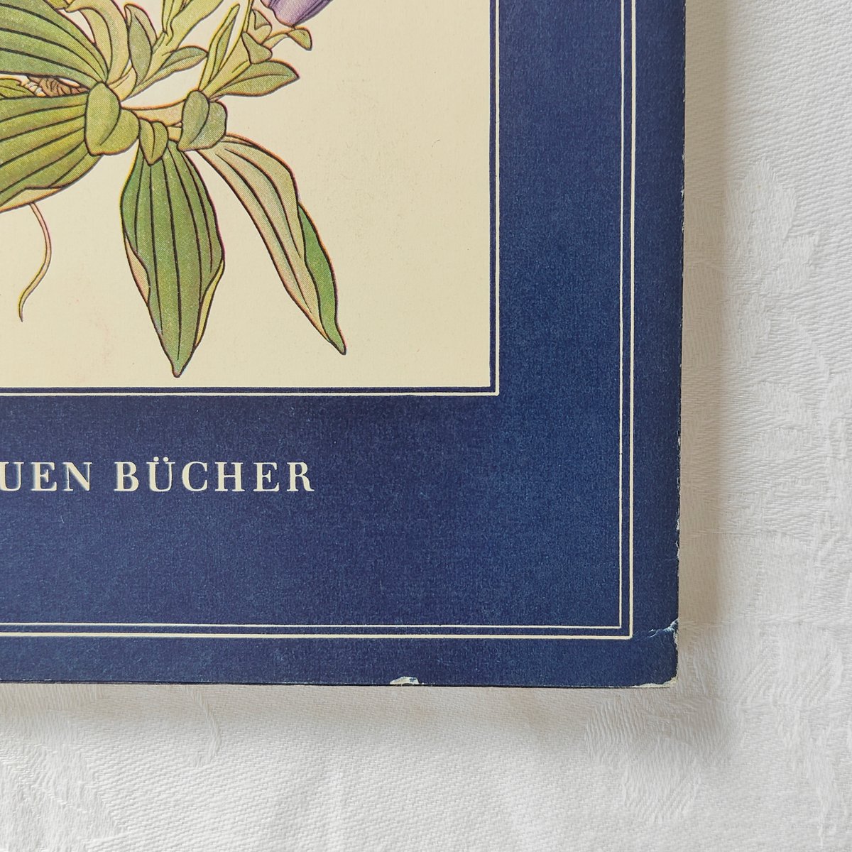 ドイツの植物図鑑 | Tabino Okurimono