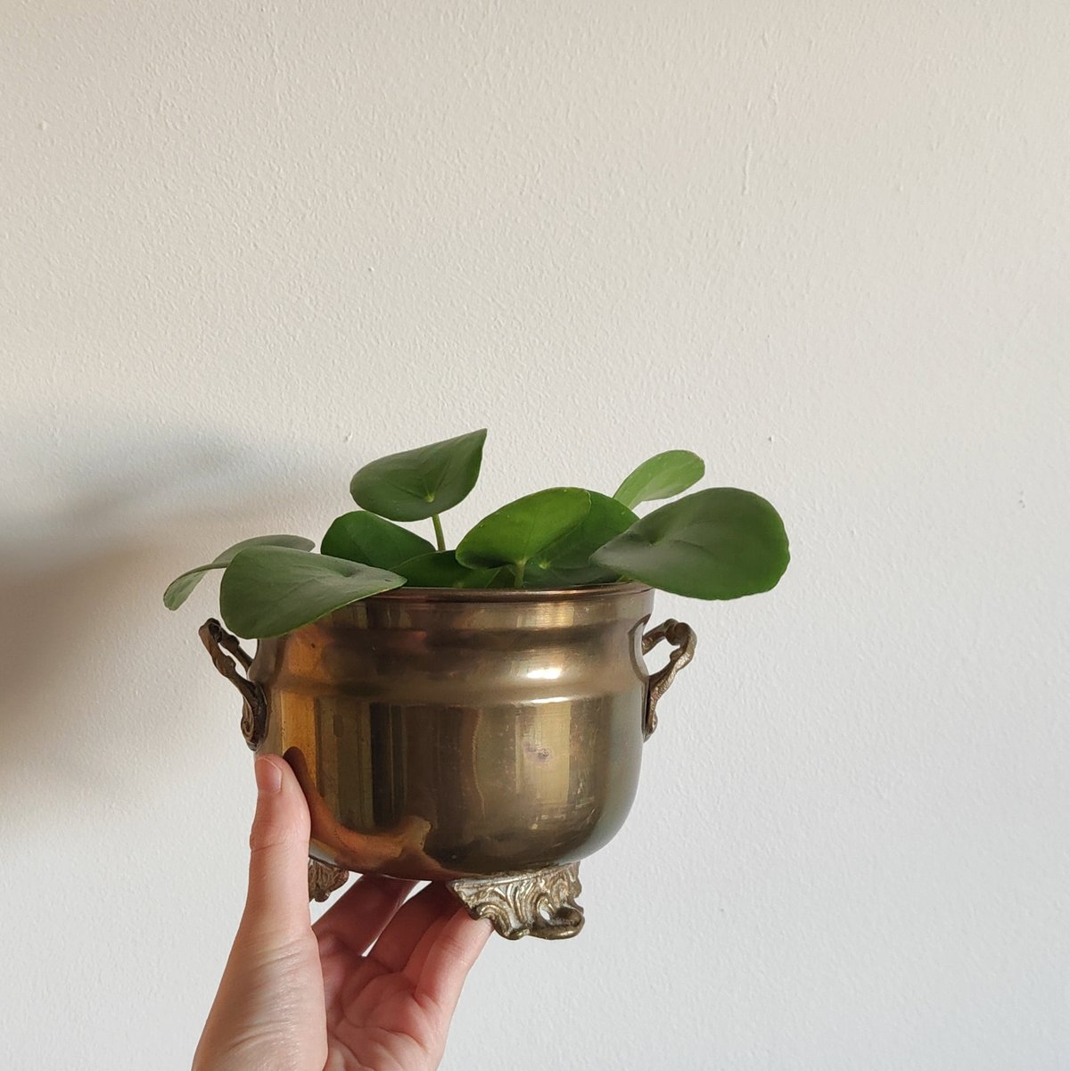 北欧ヴィンテージ 真鍮の小物入れ　プランターケース 北欧ヴィンテージ 真鍮の小物入れプランターケース