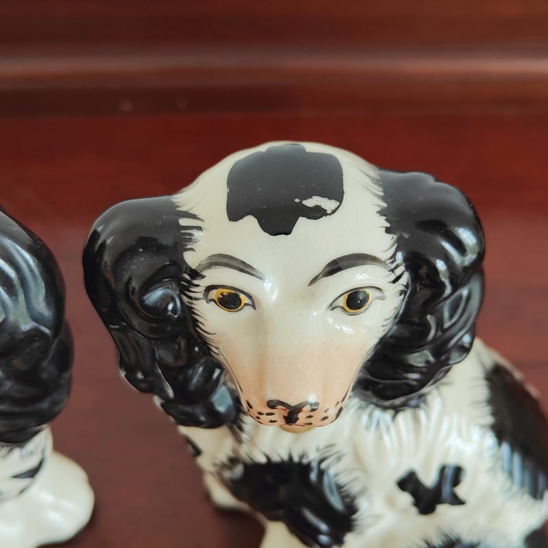 モフモフ毛並みのスタッフォードシャードッグ | Tabino Okurimono