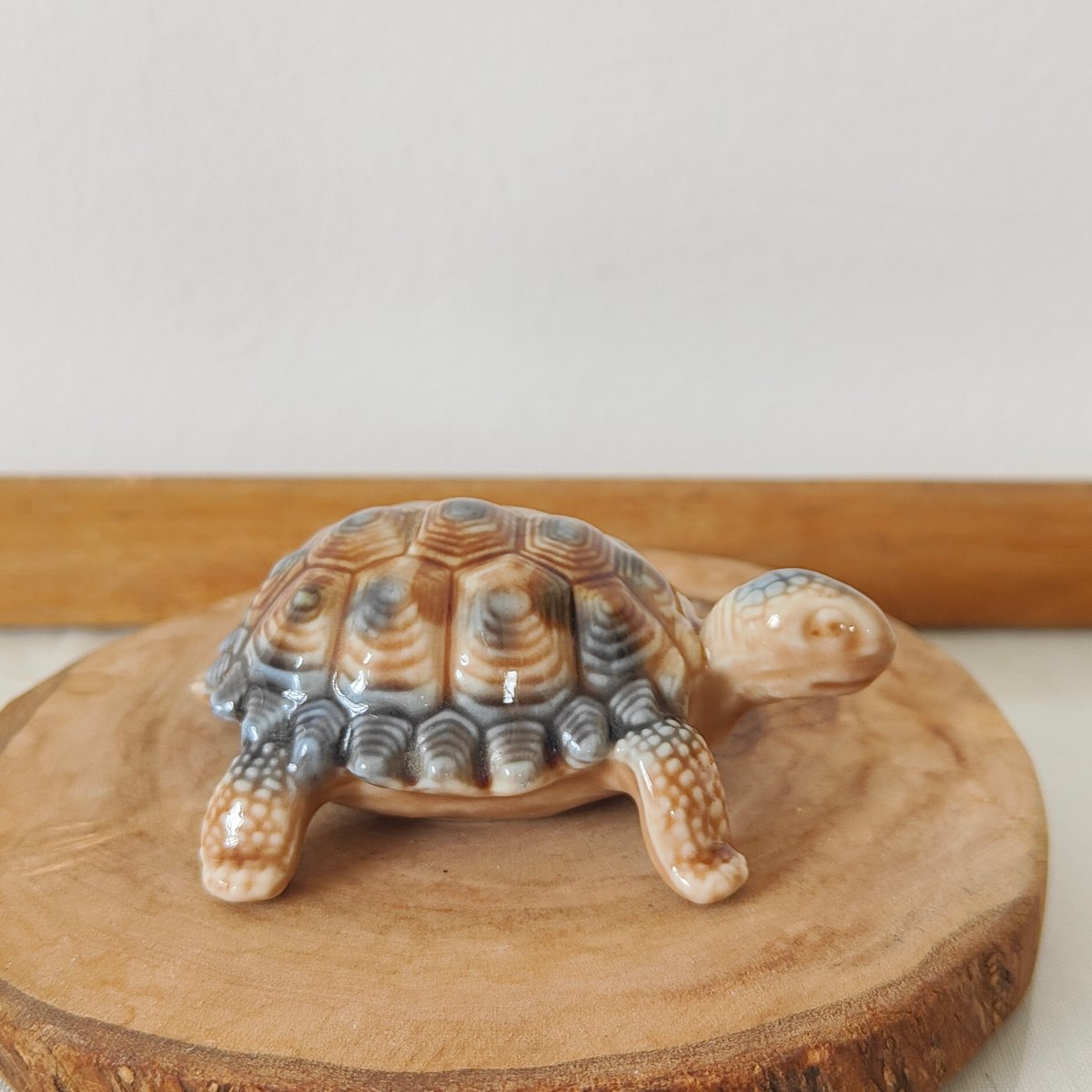 手のひらサイズのカメさん | Tabino Okurimono