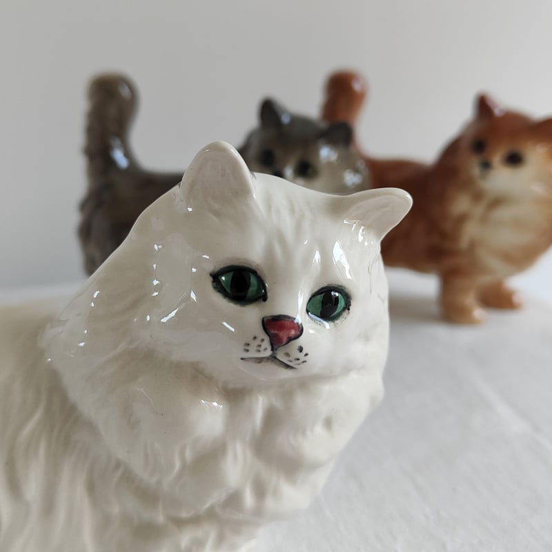 ロイヤルウースター スースカラード Purrfect Friends ロイヤルウースター スースカラード Purrfect Friends