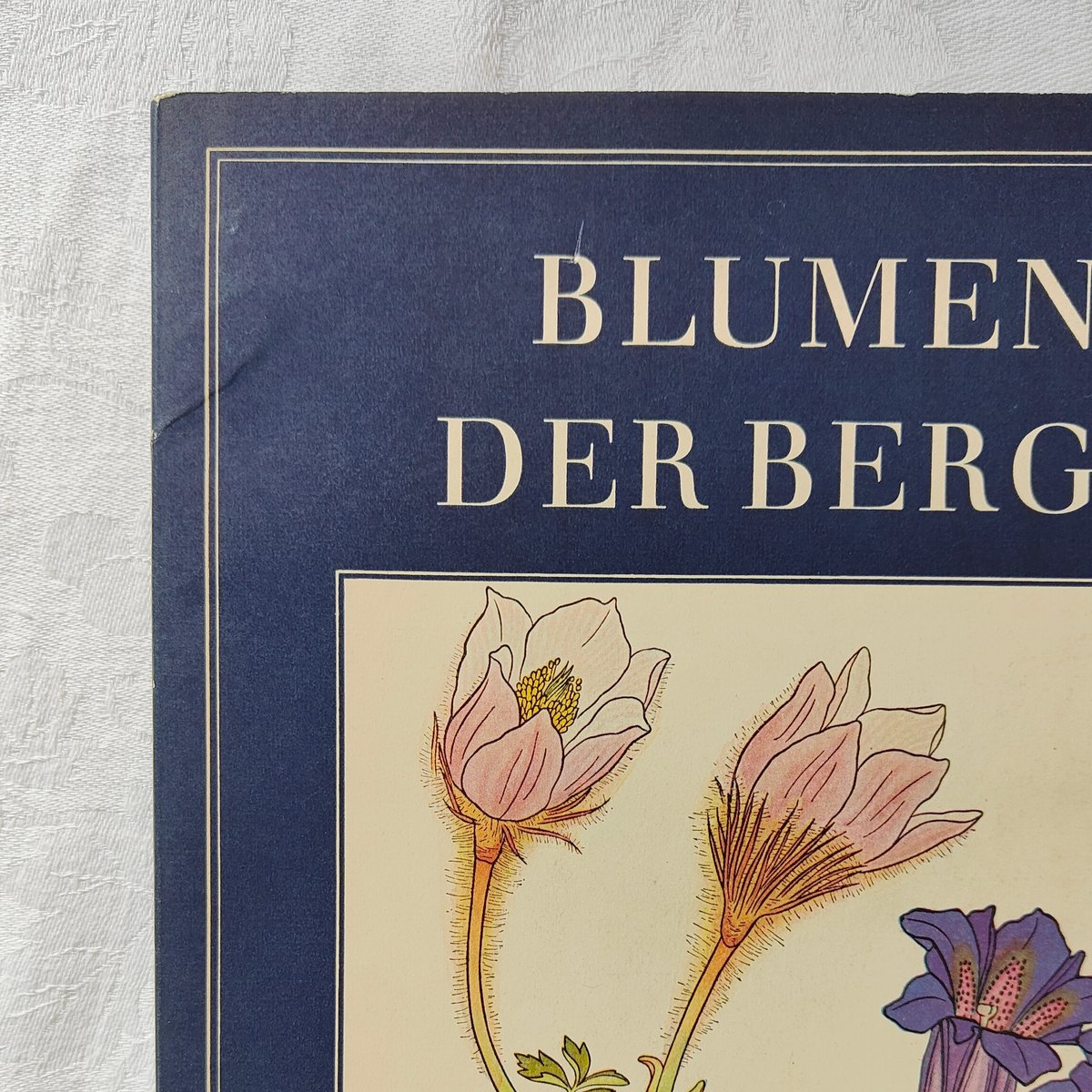 ドイツの植物図鑑 | Tabino Okurimono