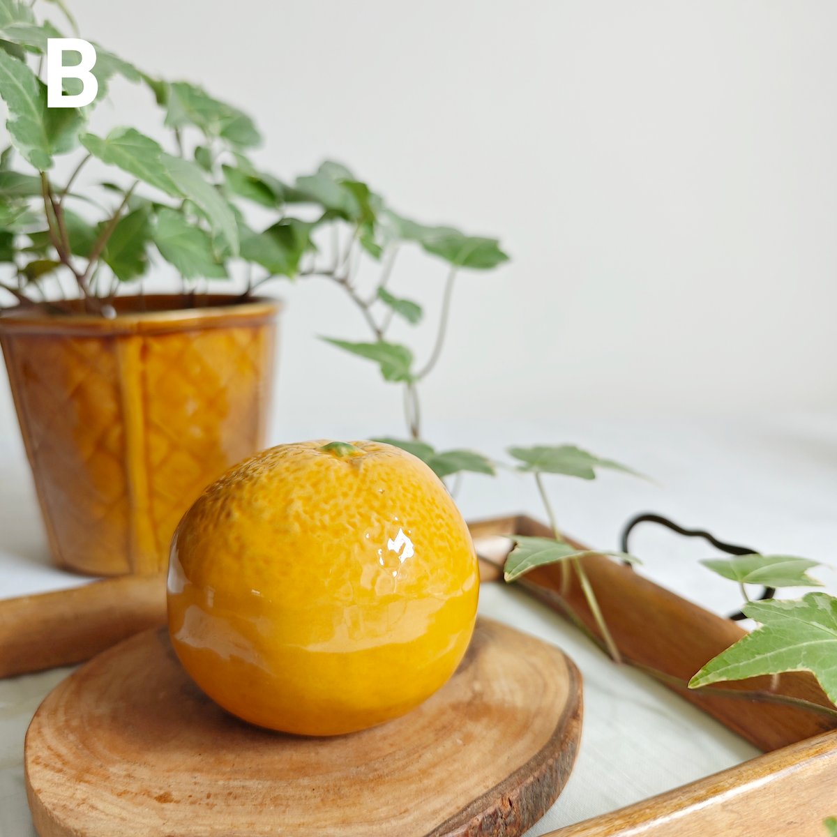 レモンとミカン | Tabino Okurimono