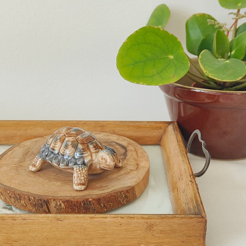 手のひらサイズのカメさん | Tabino Okurimono