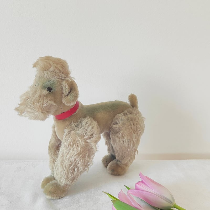 赤い首輪のプードル【Steiff】 | Tabino Okurimono