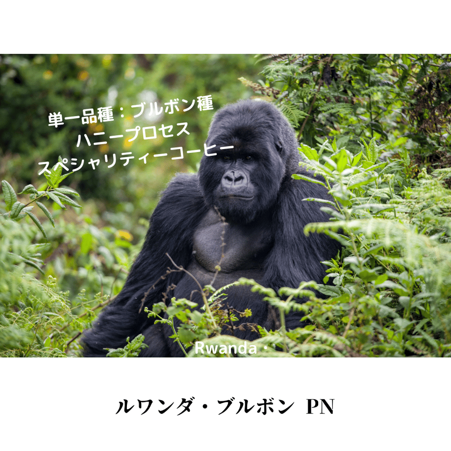 64a22687847487002ed875d1
