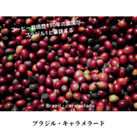 【中煎り】ブラジル サントス NO2