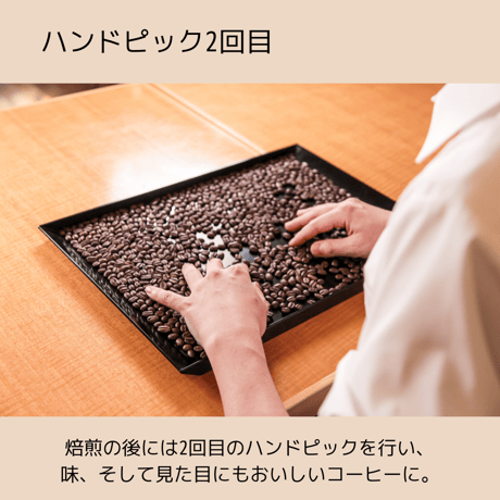 【深煎り】エチオピア・シダモW