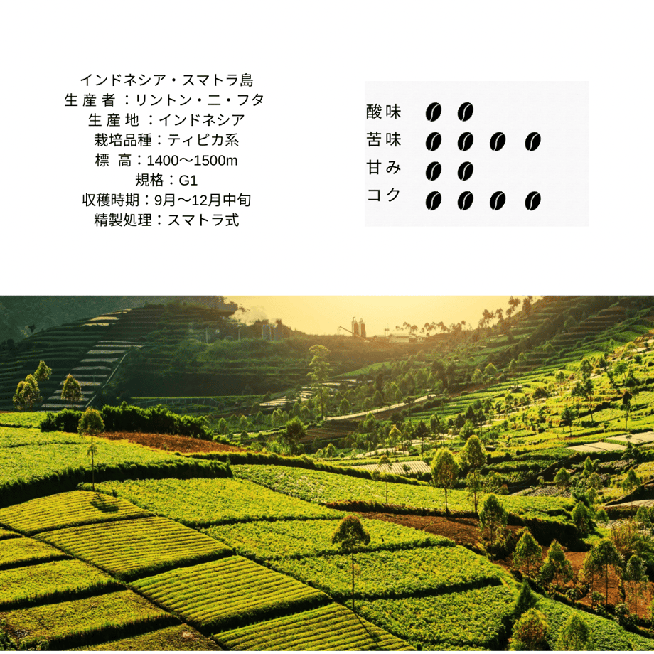 61080519a92a786bcab597b8
