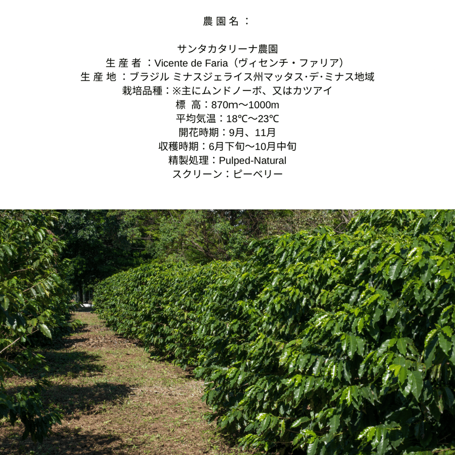 6134e685c12096582213a47e