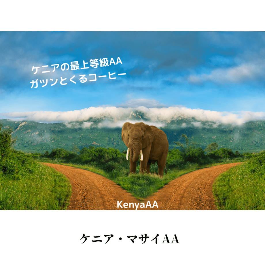 63a9a6d1a876db4712bca026