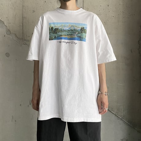 1990's-2000's "The Perfect Day" Printed Tee