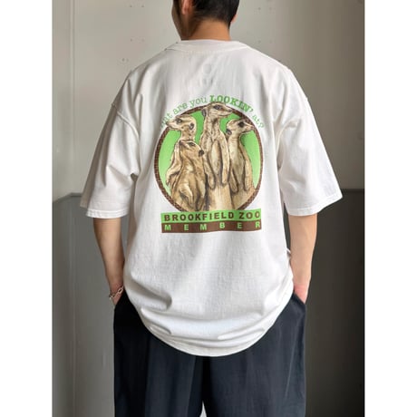 2000's "BROOKFIELD ZOO" MEERKAT Printed Tee