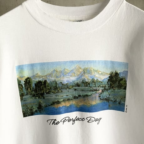 1990's-2000's "The Perfect Day" Printed Tee