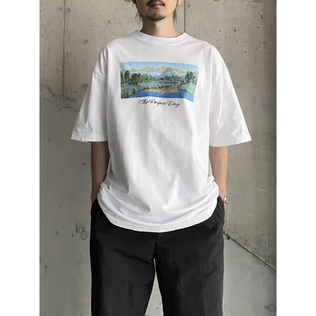 1990's-2000's "The Perfect Day" Printed Tee