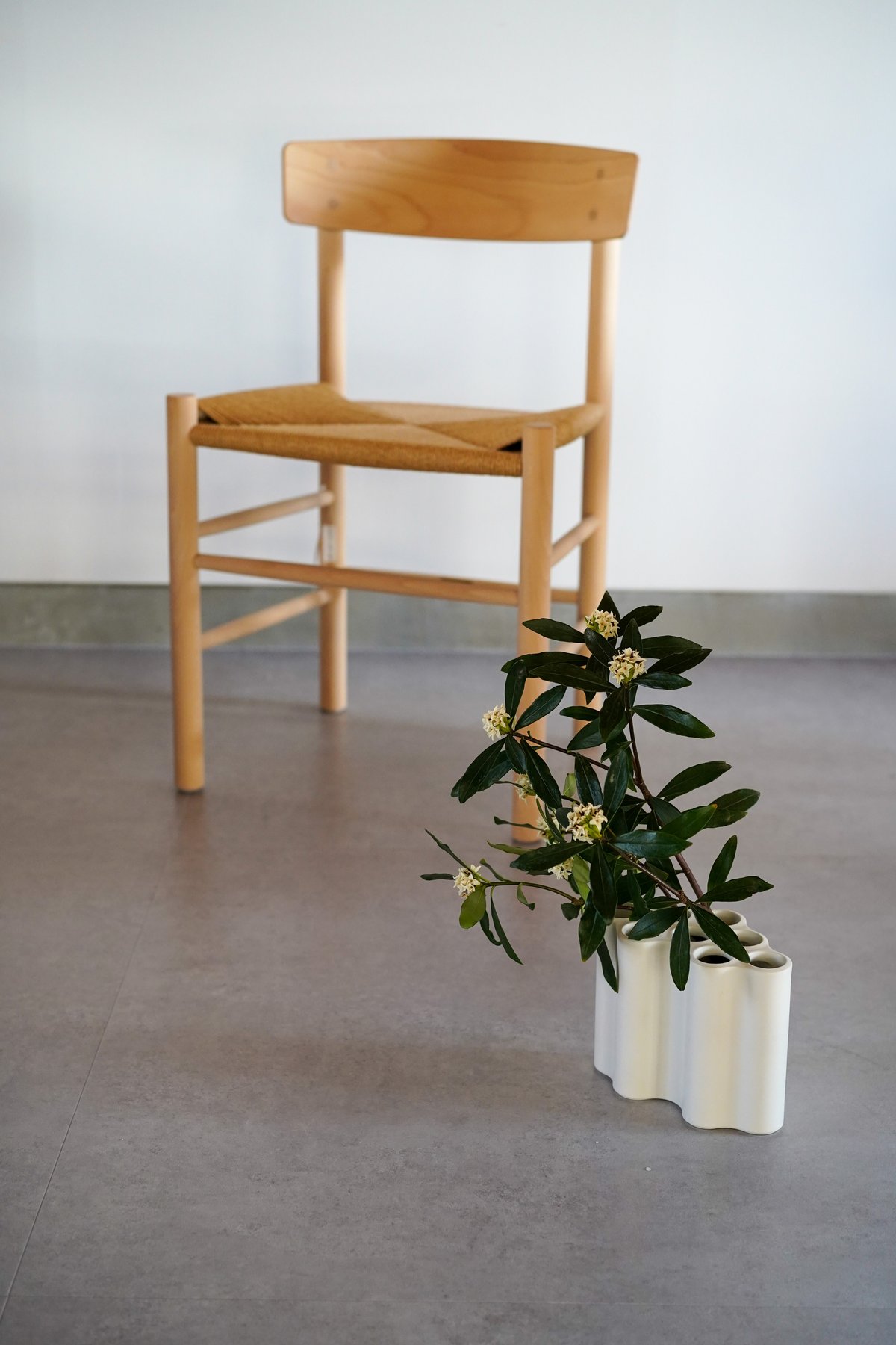 fit=pad,format=jpeg,w=1200