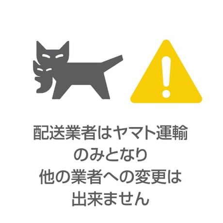 リファストレートブローアイロン【色ホワイト】