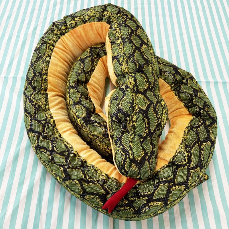 南国のハブ(蛇)【本2冊、ハブ資料＆ハブの生写真(21枚)】 ハブ 本ハブ ホンハブ 金ハブの写真素材 - PIXTA