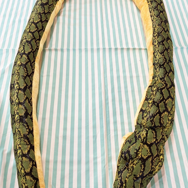 南国のハブ(蛇)【本2冊、ハブ資料＆ハブの生写真(21枚)】 ハブ 本ハブ ホンハブ 金ハブの写真素材 - PIXTA