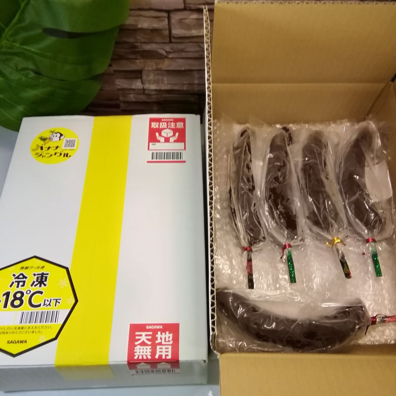 冷凍チョコバナナ 10本セット | バナナジャングル STORE