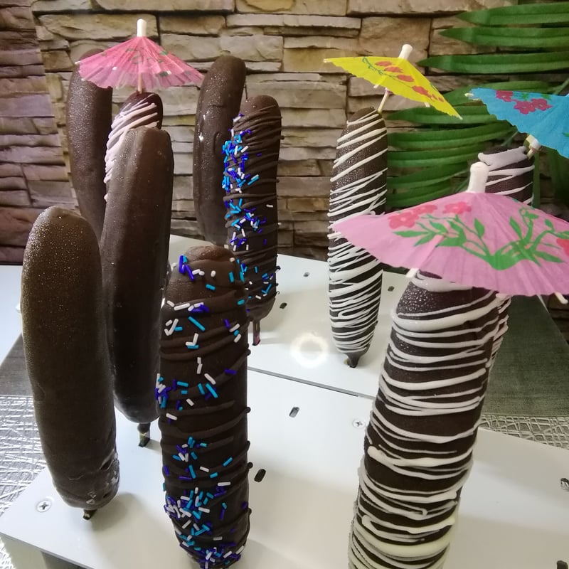 冷凍チョコバナナ 10本セット | バナナジャングル STORE