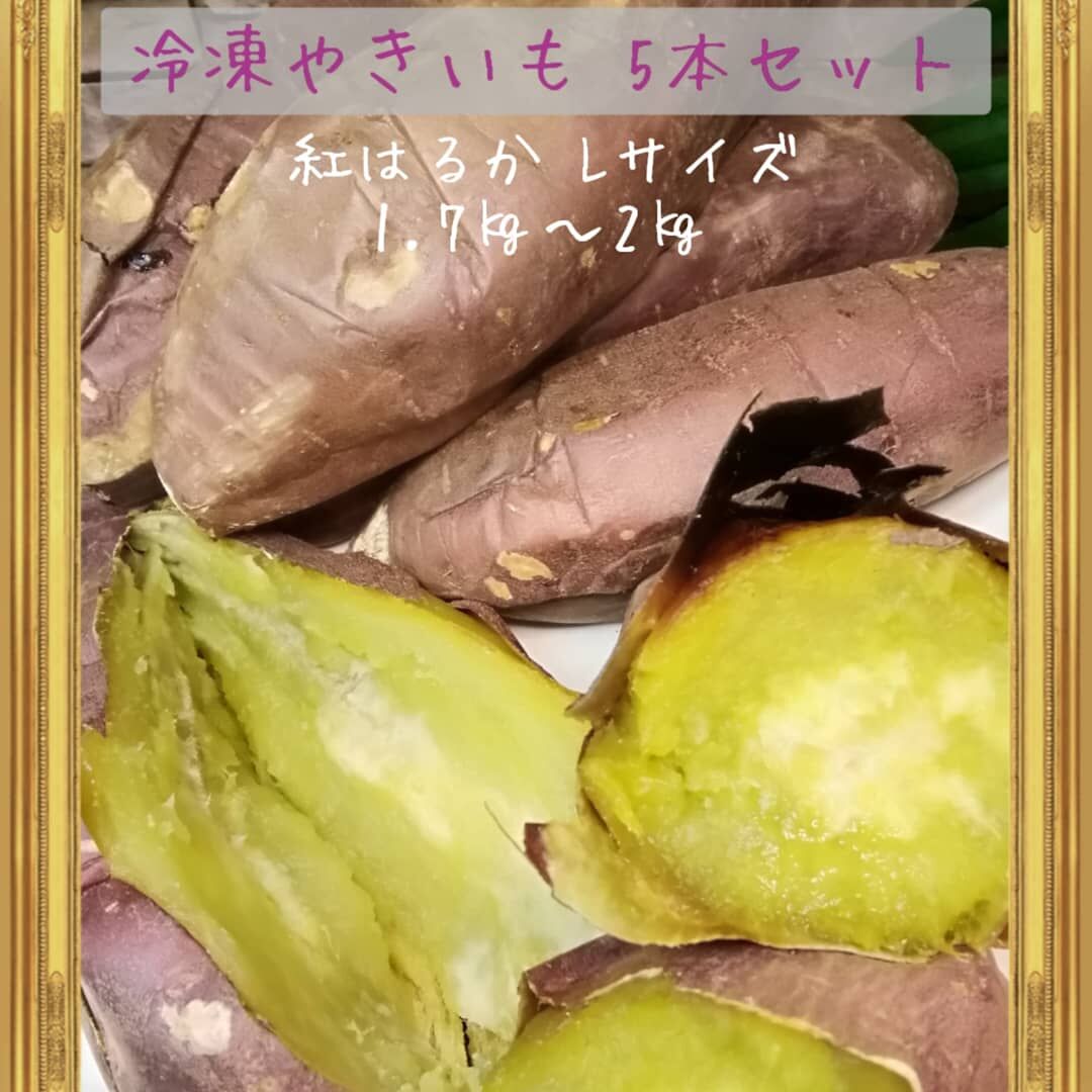 5本セット　芋神　隼人の芋神　さつまいも 冷凍やきいも 5本セット | バナナジャングル STORE