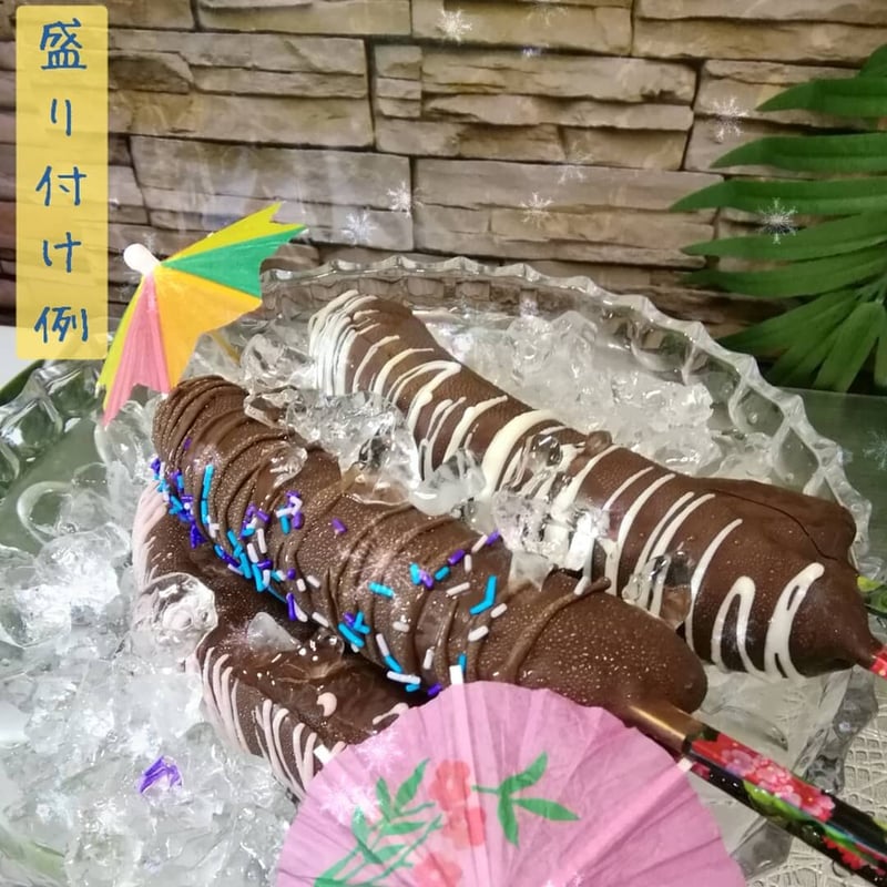 冷凍チョコバナナ 10本セット | バナナジャングル STORE