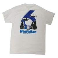 HAWAIIAN6 NO RAINTシャツ