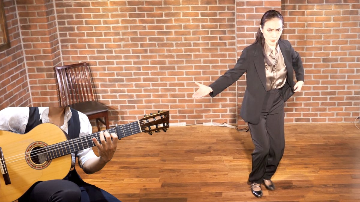 オンライン版】フラメンコ舞踊伴奏マスタープログラムVol.14