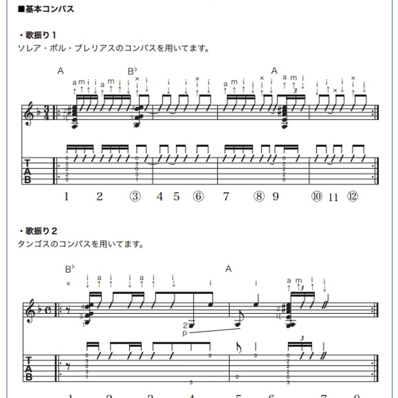 フラメンコの歴史 オンデマンド版 濱田滋郎著「フラメンコの歴史(中古）」 | 雑誌・書籍,書籍
