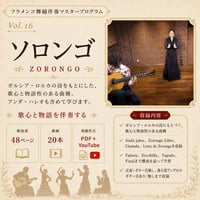 【オンライン版】フラメンコ舞踊伴奏マスタープログラムVol.16「ソロンゴ編」（デジタル冊子＋YouTube映像付き)