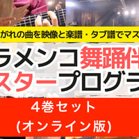 オンライン版】フラメンコ舞踊伴奏マスタープログラムVol.16「ソロンゴ