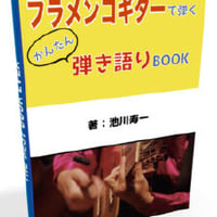 ペペ・アビチュエラ　フラメンコギター教則本　DVD付 ペペ・アビチュエラ フラメンコギター教則本 DVD付