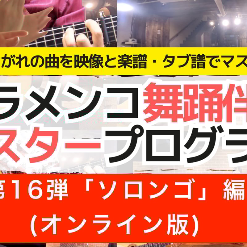 オンライン版】フラメンコ舞踊伴奏マスタープログラムVol.16「ソロンゴ