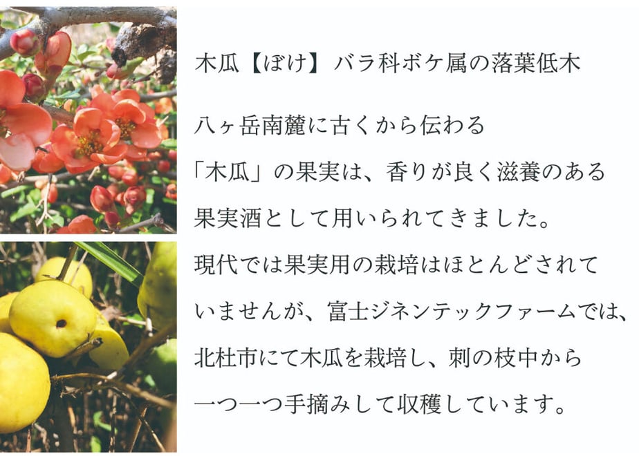 611e736fe50c0b3e60cc8657
