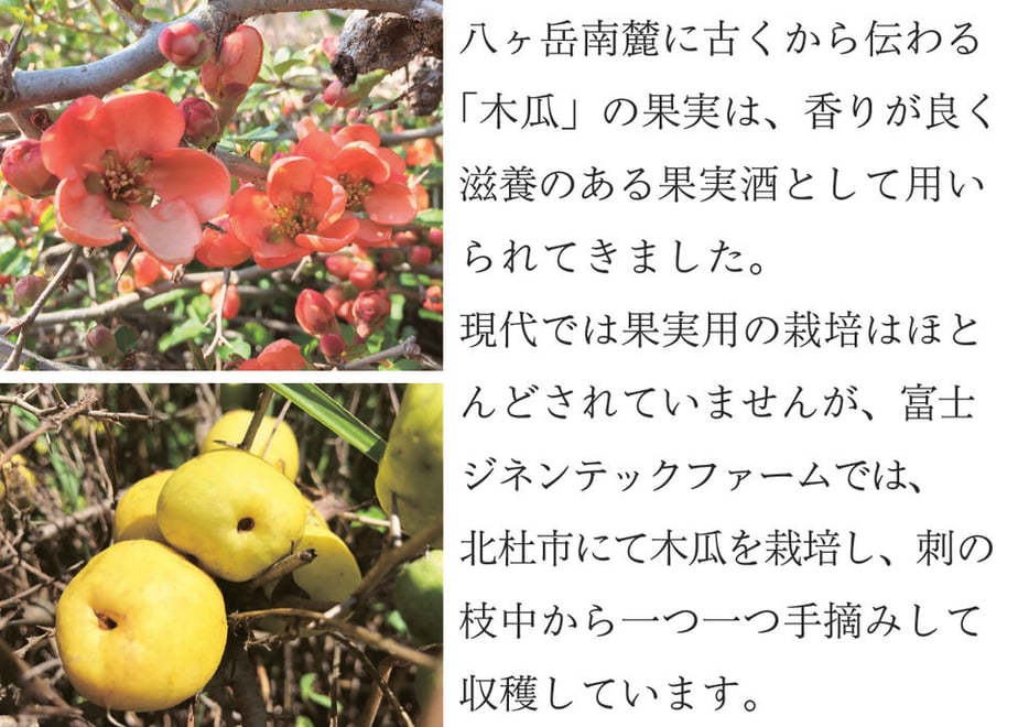 611e6f48e50c0b3794cc8755