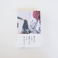あいのことば　白井剛史：著者