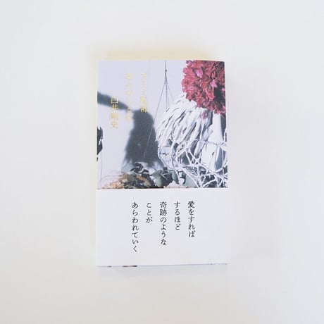 あいのことば　白井剛史：著者