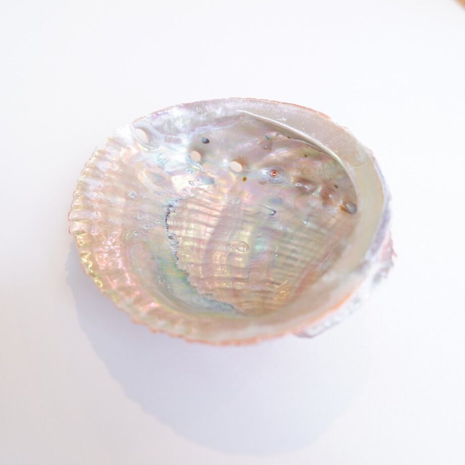 611b7968addb843b879237df